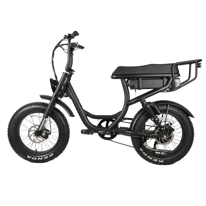 Adult Customized Color Vintage Electric Bike with 7 Speed Gears Step Through Fat Bike