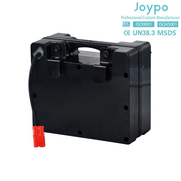 Rechargeable LiFePO4 Lithium Battery 24V 12Ah For Electric Wheel Chair