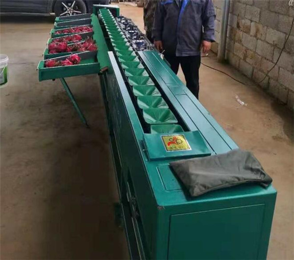 fruit weight sorting machine,fruit weight classifier,apple sorting machine,orange sorter