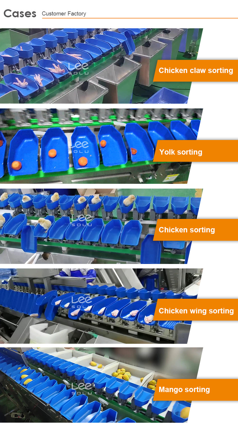 Easy Operation Tray Type Apple Lemon Peach Orange Kiwi Mango Avocado Fruit Grader Sorting Machine