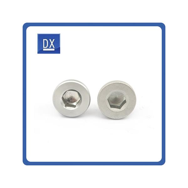 Quality Aluminium Socket Screw Plug Customized Size Hexagon Head for sale