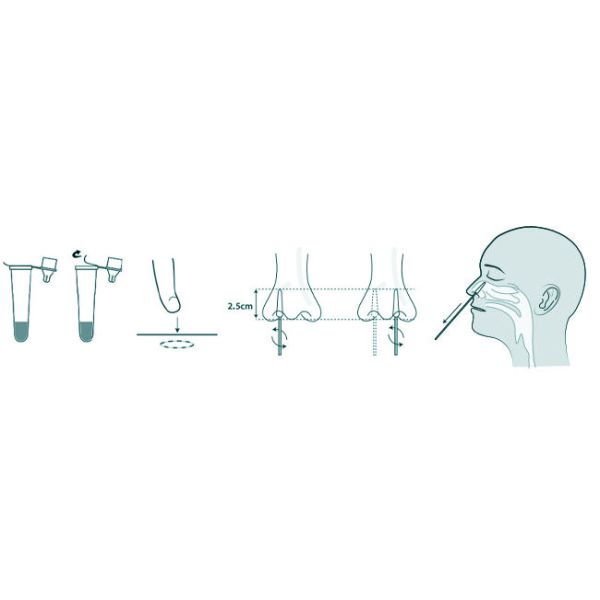 COVID-19 Antigen Home Test Kit 10 Tests/Kit CE For Nasal Swab Accuracy 99.68%