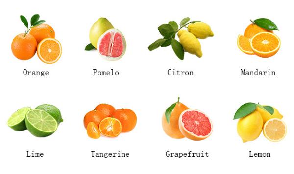 SUS304 500T/D Citrus Processing Line Automatic Juice Extracting