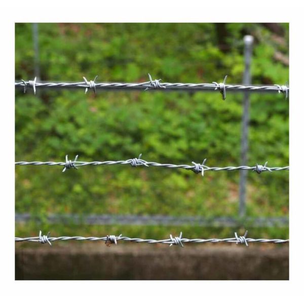 Spiral Barbed Wire Defensive Galvanized Barbed Wire Installation Security Fence