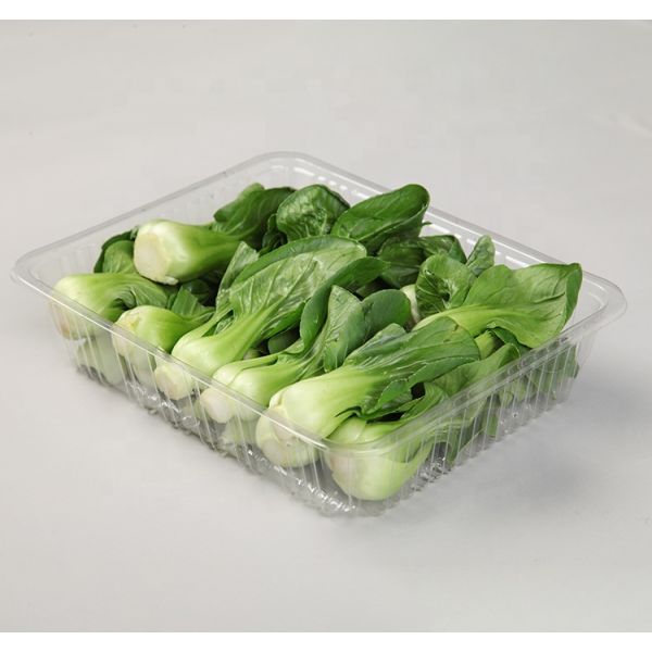 Food Grade PET 21.5*17*6cm Vegetable Packing Tray