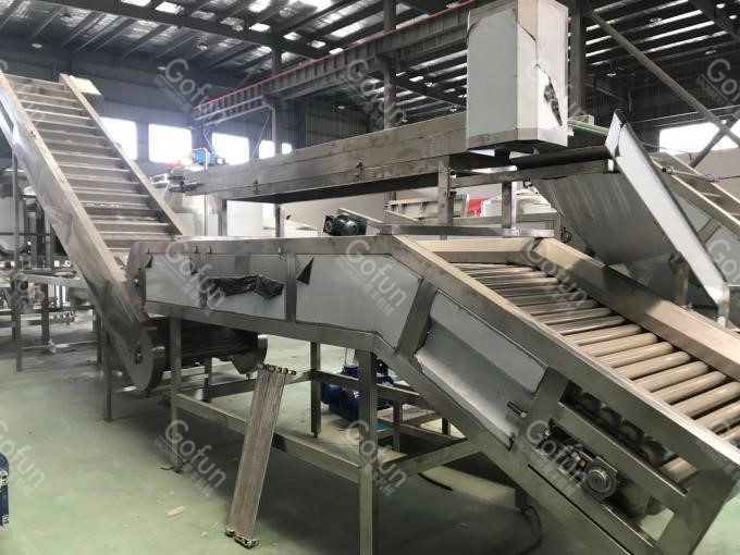 Automatic 10T/H Mango Processing Plant 440V Puree Processing Line