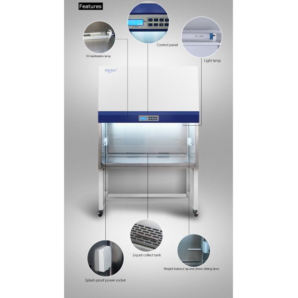 OEM ODM Biological Safety Cabinet B2 Type Class 2 Biosafety Cabinet