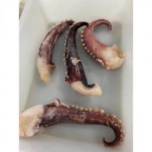 China A Grade Quality Hot selling Frozen Giant squid tentacles NW 30 60g wholesale