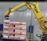 Automated Spaghetti Box Palletizing Robot / robotic packaging systems SGS