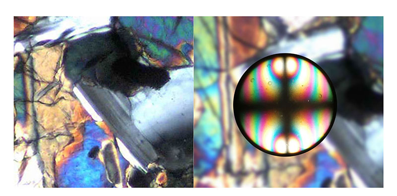 Trinocular Polarizing Light Microscope