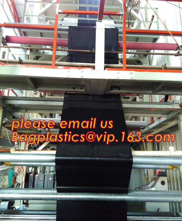 HOTICULTURAL MULCH FILM,AGRICULTURAL PE FILM,MARKET GARDENERS CLOCHE FILM,PE FILM FOR CORN,PLASTIC FILM COVER,TOMATO COV