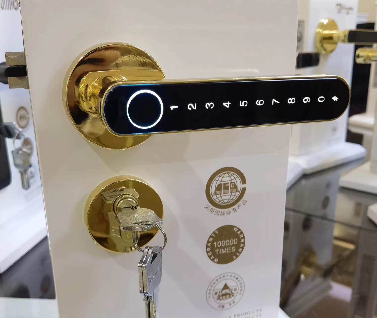 BLE Fingerprint Door Knob Keyless Electronic Door Knob For Room Apartment