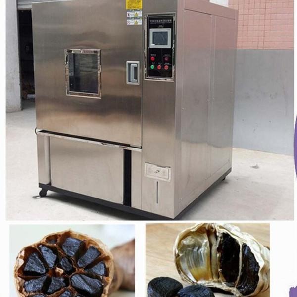 Quality Constant Temperature 1000L Black Garlic Fermentation Equipment Easy To Maintain for sale