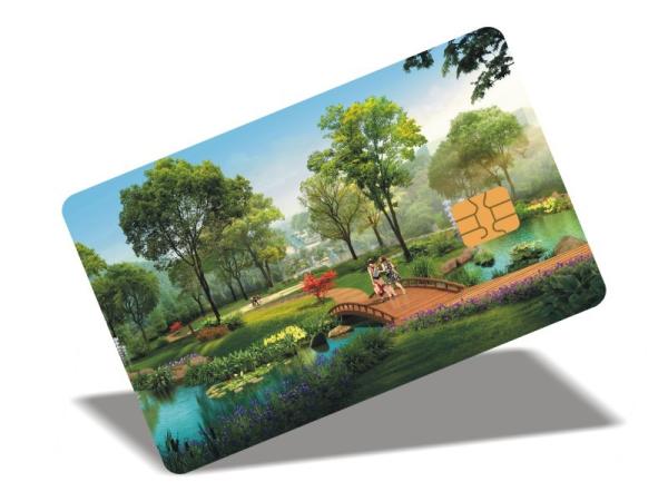 Quality PVC Atmel AT88SC0104C Offset Printing Contacted Encrypted Logic Card for sale