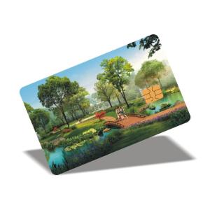 Buy cheap PVC Offset Printing Contacted Encrypted Logic Card Anticollision AT88SC0104C IC from wholesalers