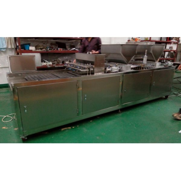 PD800 Cup Cake Custard Muffin Madeline Cake Production Line Cup Cake Making Machine Cup Cake Bakery Equipment Machinery