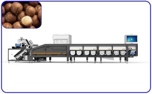 China Industrial Grading Sorting Machine 50Hz 16 Channel For Macadamia Nuts wholesale