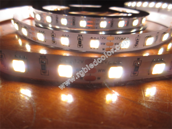 5050WWW high brightness dimmable led strip