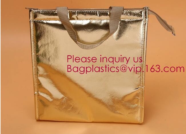 Customized logo printing insulated food delivery cooler bag,wholesale waterproof food delivery thermal bags bagplastics
