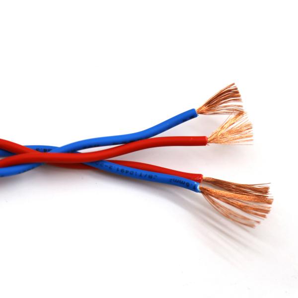 Quality 2 Core Twisted Fire Resistant Cable RVS Twisted Pair Cable Customized Color for sale
