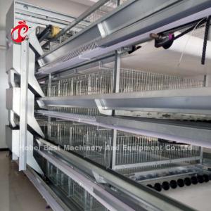 H And A Type Automatic Poultry Layer Cage 15000 Birds Popular In Africa Rose