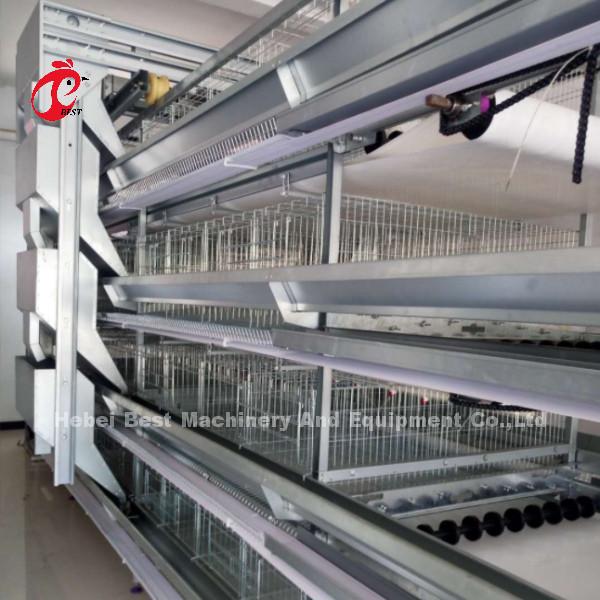 Quality H And A Type Automatic Poultry Layer Cage 15000 Birds Popular In Africa Rose for sale