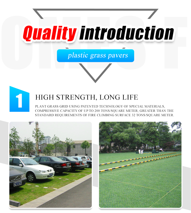 HDPE Plastic Planting Grass Paver Grid for Parking Lot and Driveway at 500mm Length
