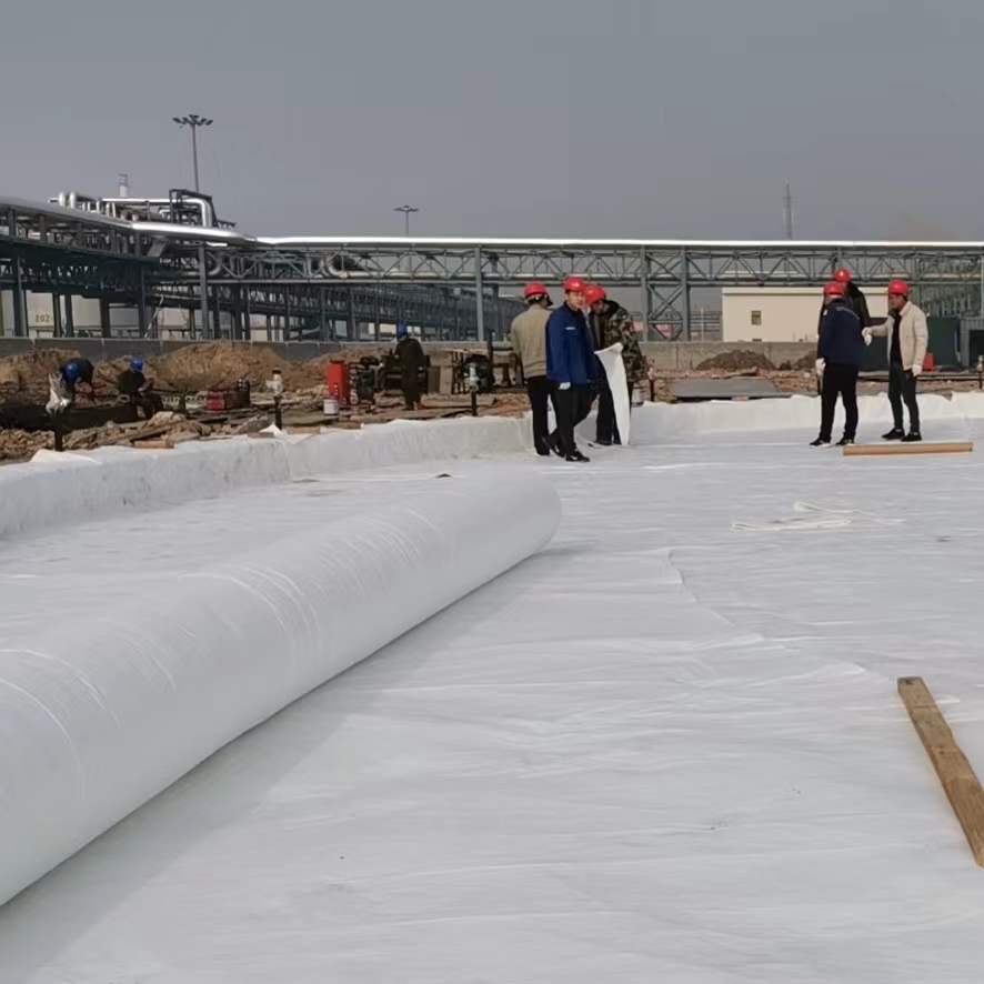 Steel Plastic Geogrid Onsite Installation and Durable for Infrastructure Projects