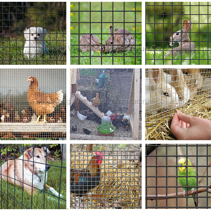 36 Inch x 25 Foot-1 Inch x 1 Inch 16GA Galvanized Welded Wire Mesh Roll for Garden Economy Fence