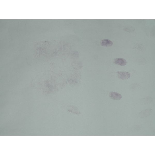 C003 Ninhydrin solution