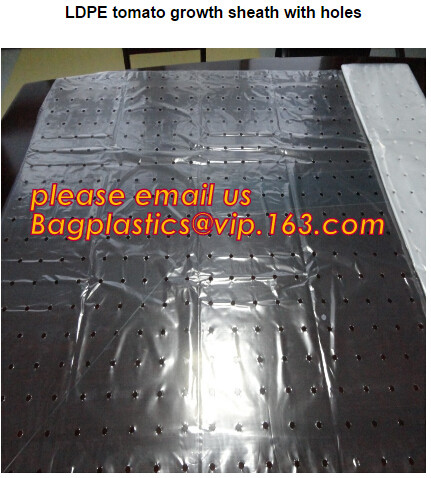 HOTICULTURAL MULCH FILM,AGRICULTURAL PE FILM,MARKET GARDENERS CLOCHE FILM,PE FILM FOR CORN,PLASTIC FILM COVER,TOMATO COV
