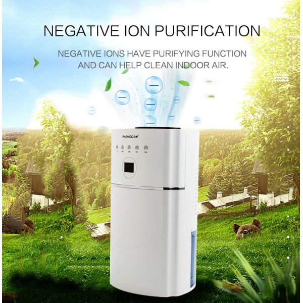 1.1L/Day Semiconductor Dehumidifier