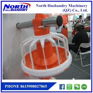 Automatic Chicken Drinking and Feeding line system Poultry Equipment For Chicken