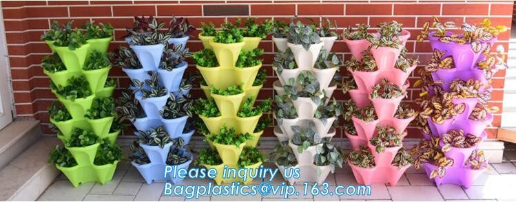 HOTICULTURAL MULCH FILM,AGRICULTURAL PE FILM,MARKET GARDENERS CLOCHE FILM,PE FILM FOR CORN,PLASTIC FILM COVER,TOMATO COV