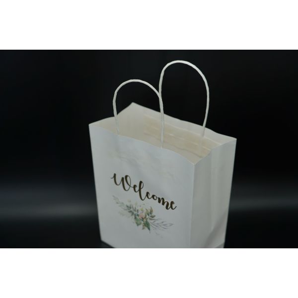 ODM Handle Paper Bags Sustainable Custom Kraft Shopping Bags Lightweight