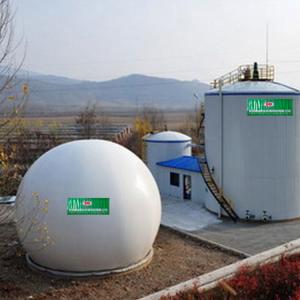 China Hydrogen Sulfide Methane Gas Scrubber Biogas Purification Equipment wholesale