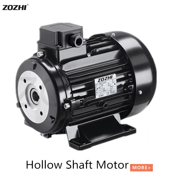 HOLLOW SHAFT MOTOR