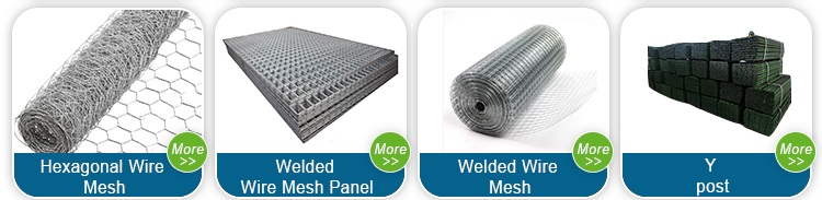 Building Mesh Galvanized Welded Wire Mesh Panel for Gabion Wall Width 0.5-3m Galvanized