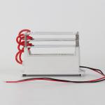 DIY Portable Ozone Generator 15G AC220V