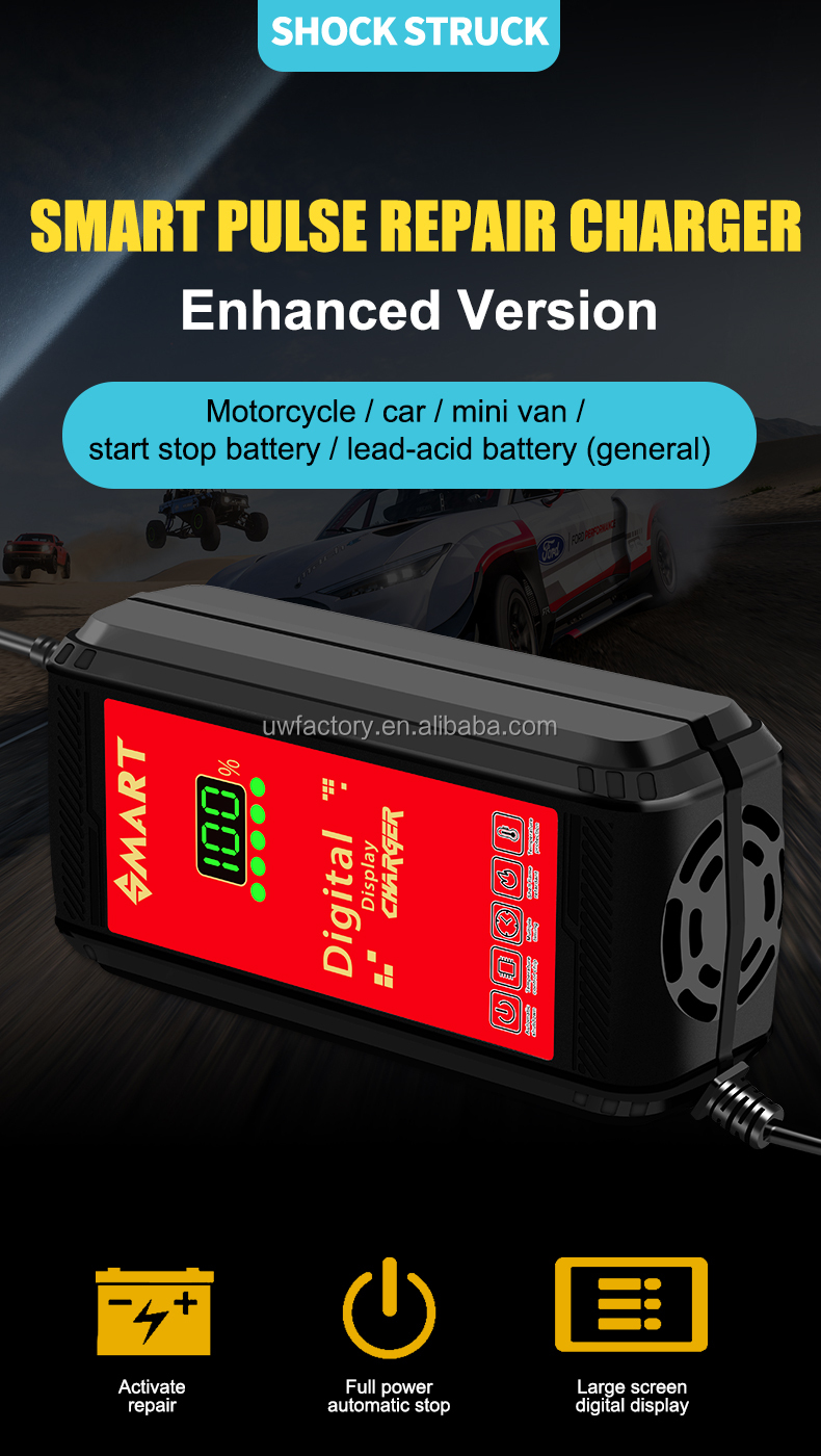 Lead Acid Battery Charger 90% Charging Efficiency 12V/1.25A Output Newest Pulse Repair with Automatic Function
