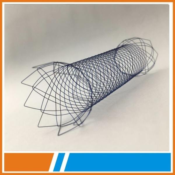 Quality Medical TTS Esophageal Stent With Delivery System with CE and ISO certificate for sale