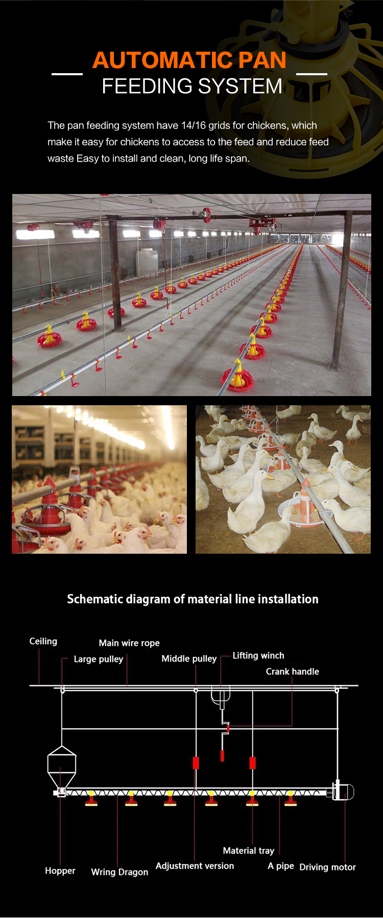 Automatic feeding pan for Animal & Poultry Husbandry Equipment 0
