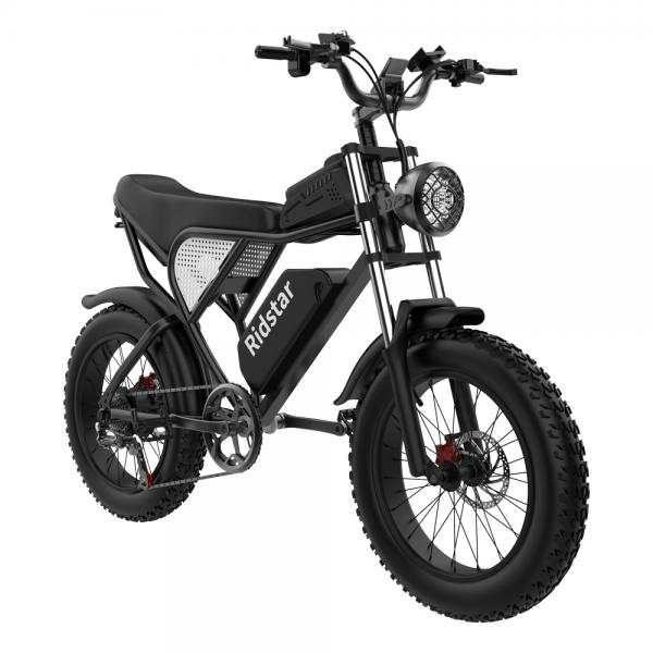 48V 1000W 20Ah 20" X4.0 Fat Tire Electric Mountain Bike With Removable Battery