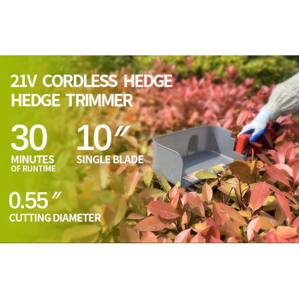 Agricultural 20V Cordless Tea Picking Machine Tea Leaf Picker With Lithium Battery