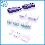 UL CQC Approved Transparent 2 Pole Compact Push Wire Connectors P04-2P For