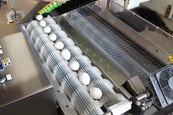 Potato Peeling Roller Sweeper Brush Roller OEM For Conveyor Belt
