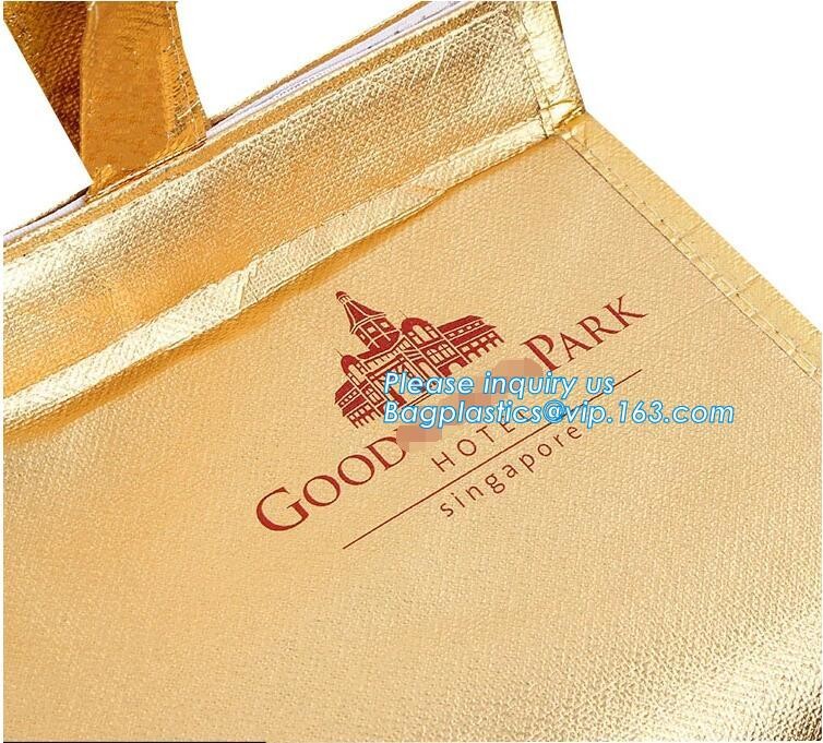 Customized logo printing insulated food delivery cooler bag,wholesale waterproof food delivery thermal bags bagplastics