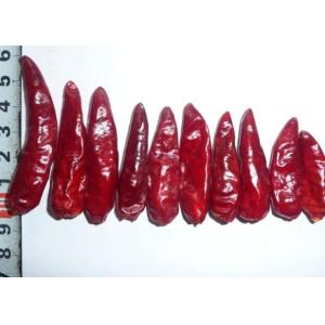 China Sichuan Red Bullet Chilli Stemless Dried Hot Chili Peppers GMP wholesale