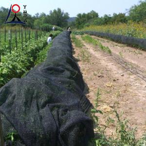 China 30gsm-300gsm HDPE Sun Shade Net Greenhouse Vegetable Garden on sale