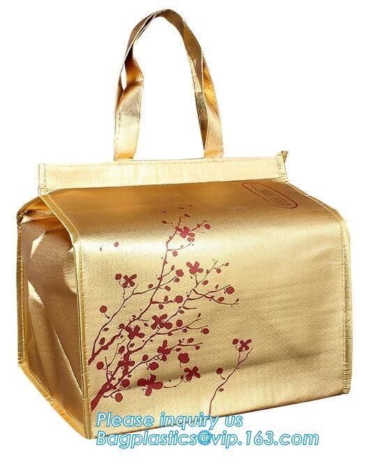 Customized logo printing insulated food delivery cooler bag,wholesale waterproof food delivery thermal bags bagplastics